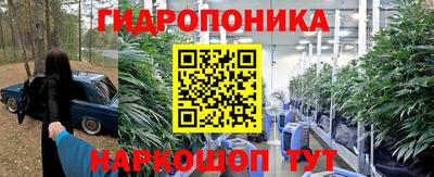 МДПВ Брянск