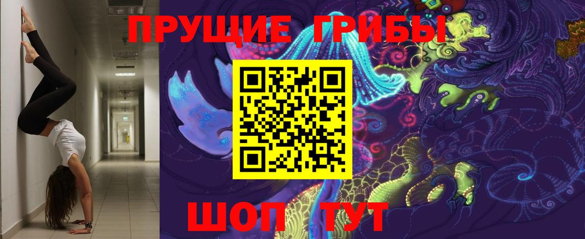 Элиста  Галлюциногенные грибы Psilocybe  Вход с VPN  Галлюциногенные грибы мухоморы 