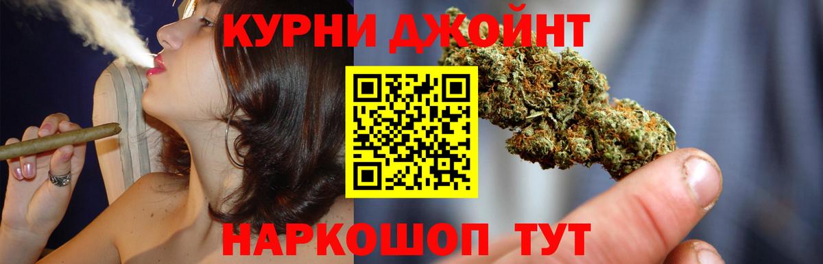 Бошки Шишки план  Бошки Шишки марихуана  Вход с VPN  Бошки марихуана MAZAR  Элиста 